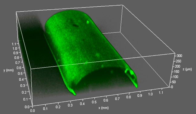 VasFluidic管道3D成像-鐳射共聚焦掃描顯微鏡圖片
 